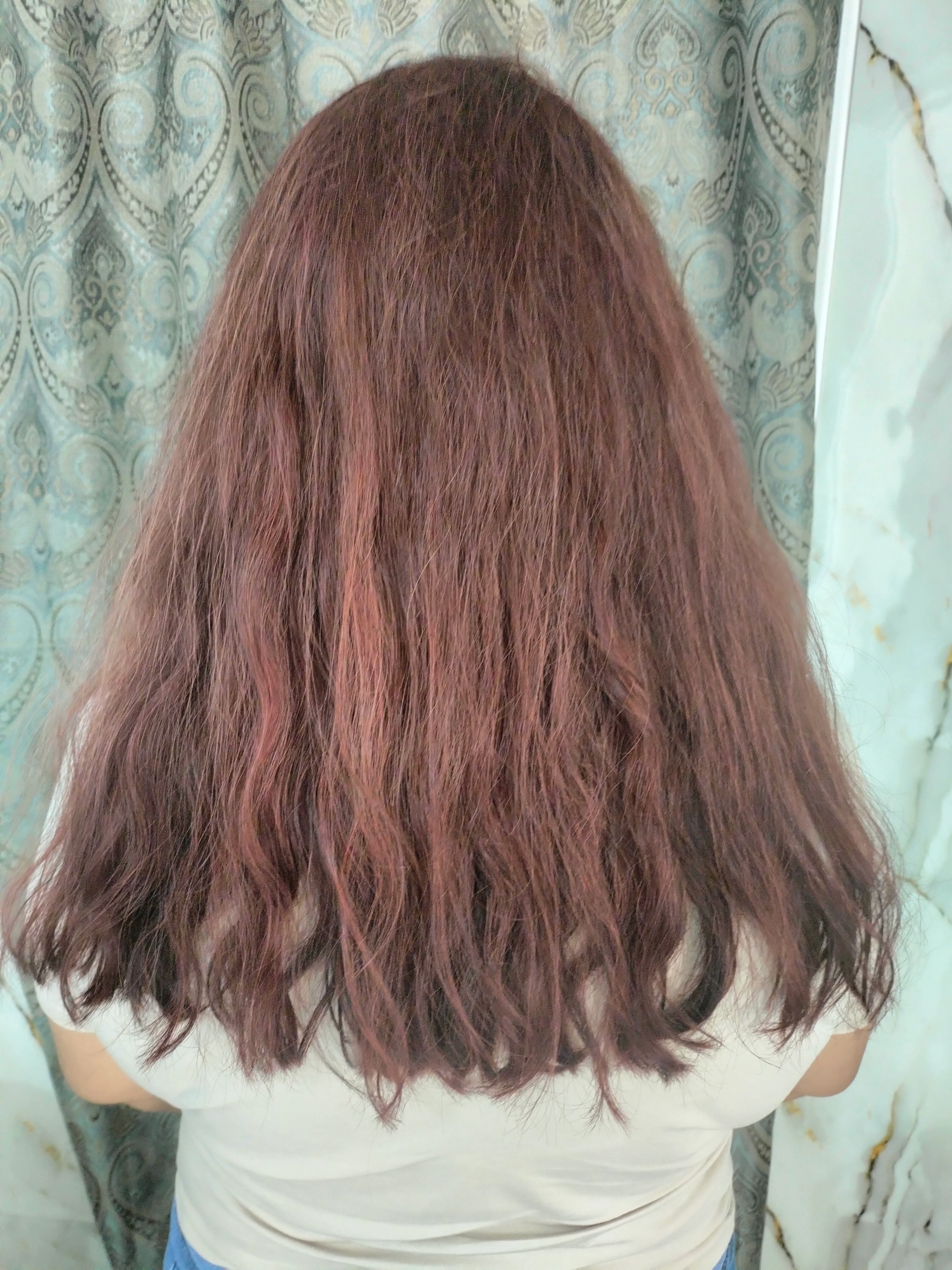 Cabello antes del tratamiento de estilismo